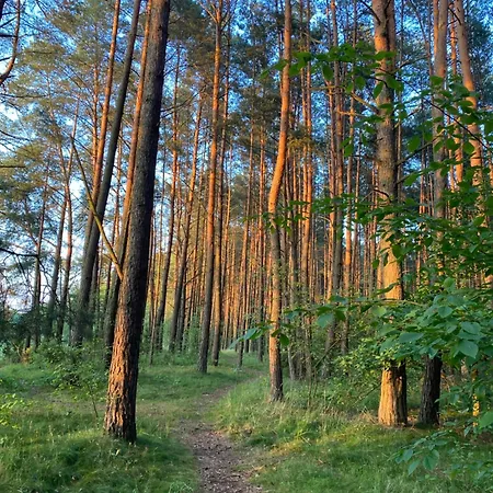Przytulny W Lesie Blisko Rzeki Holiday home *