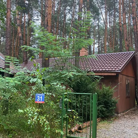 Przytulny W Lesie Blisko Rzeki Holiday home Ryczywol (Masovia)