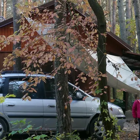 Vakantiehuis Przytulny W Lesie Blisko Rzeki *