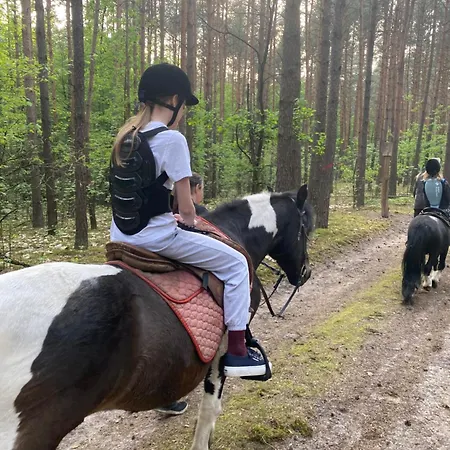 Przytulny W Lesie Blisko Rzeki
